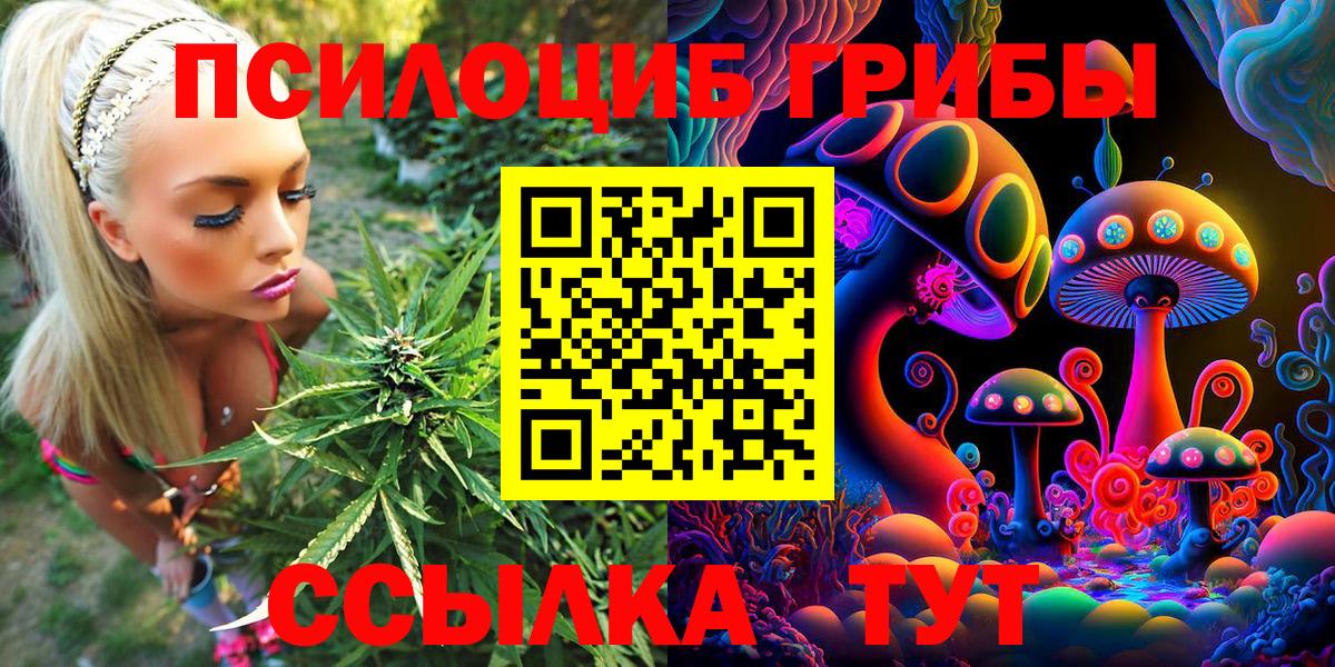 Псилоцибиновые грибы ЛСД Павлово