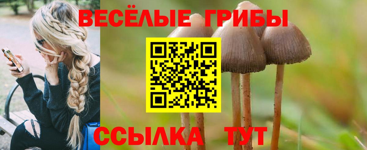 наркота  Вход с VPN  Павлово  Псилоцибиновые грибы прущие грибы  Псилоцибиновые грибы мухоморы 